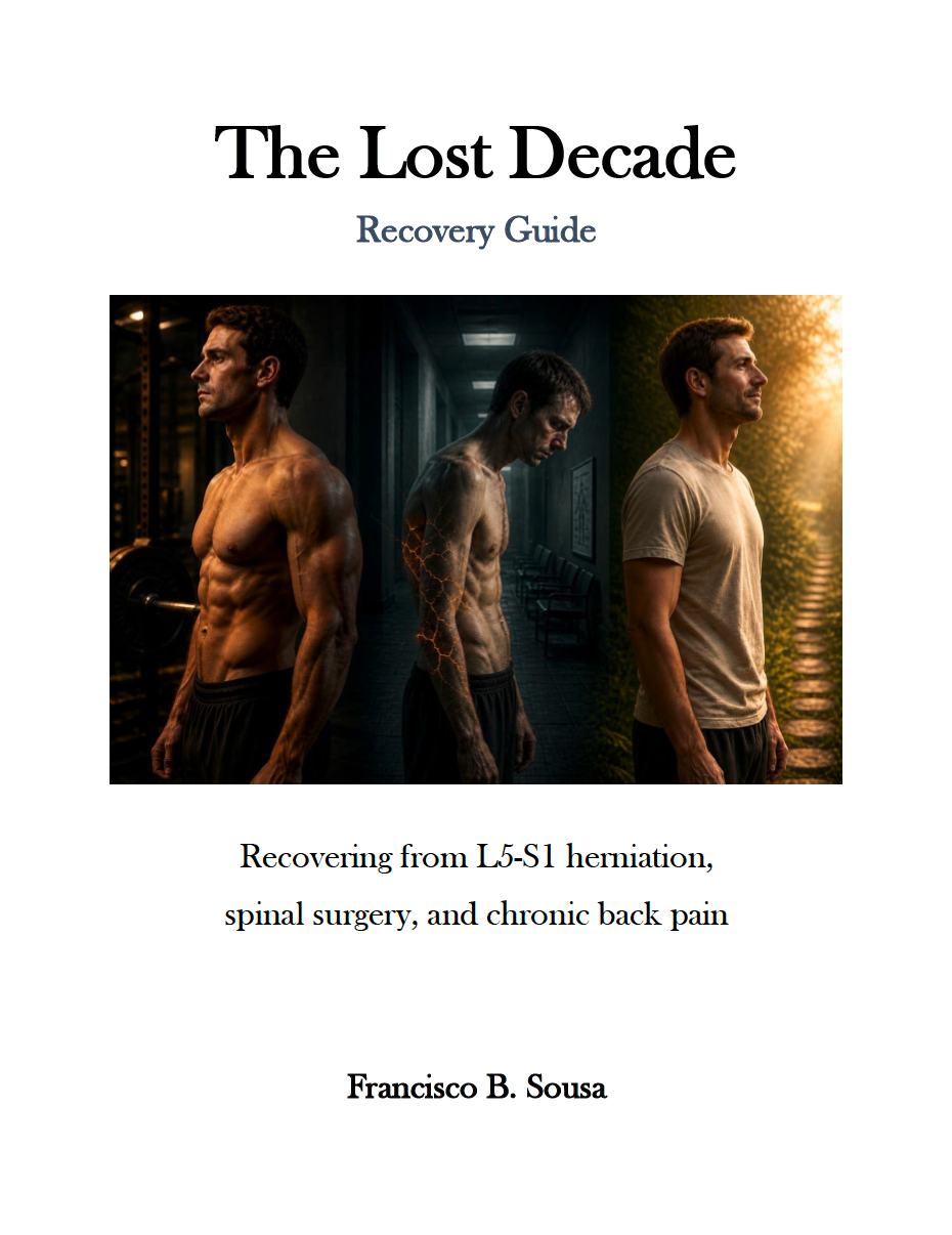 Cover of The Lost Decade Recovery Guide by Francisco B. Sousa